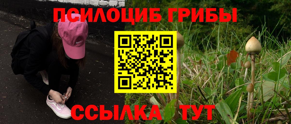 Галлюциногенные грибы Cubensis  Вход с VPN  цены   Ростов Великий 